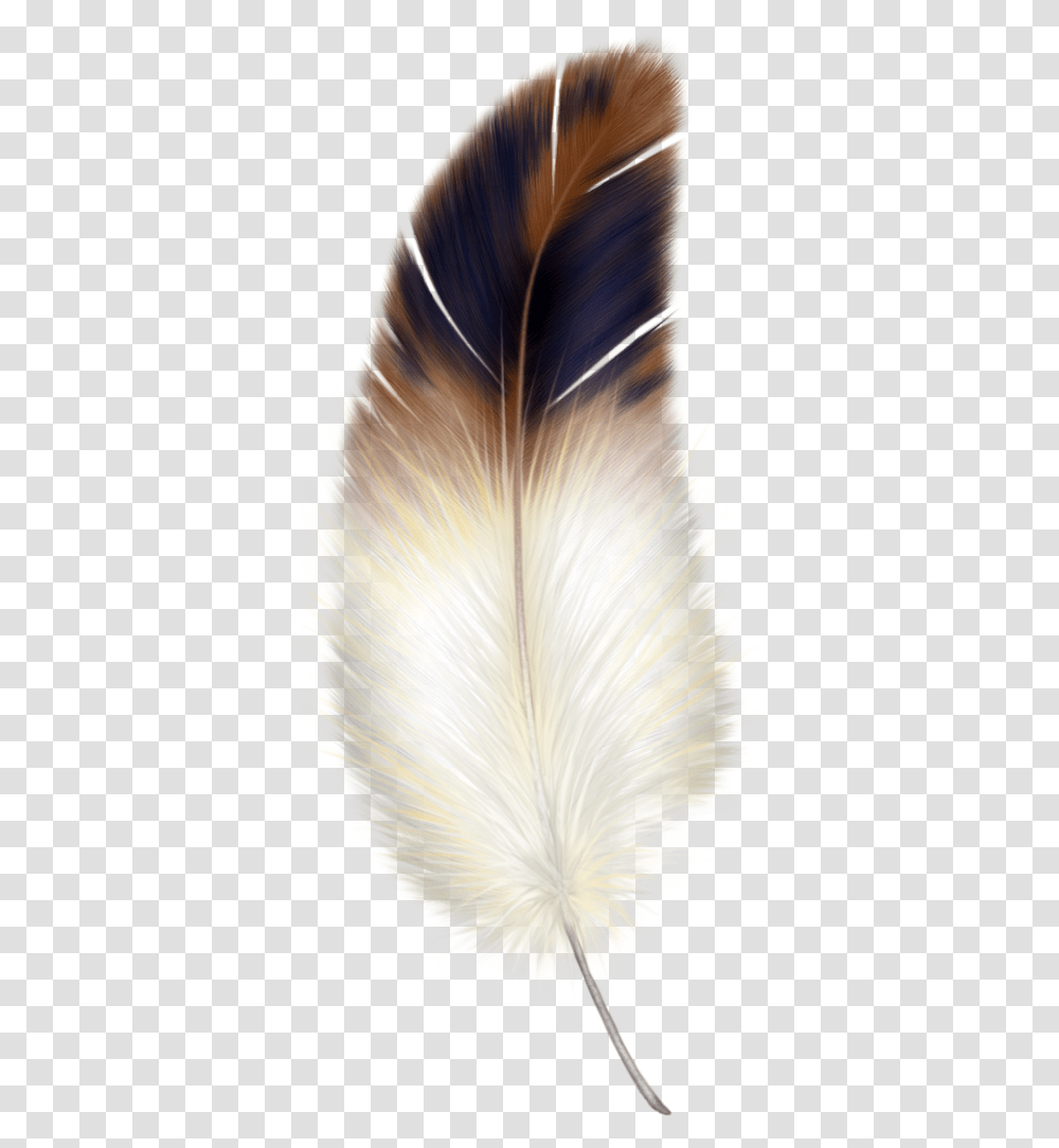 Feather, Bird, Animal, Hair, Canvas Transparent Png