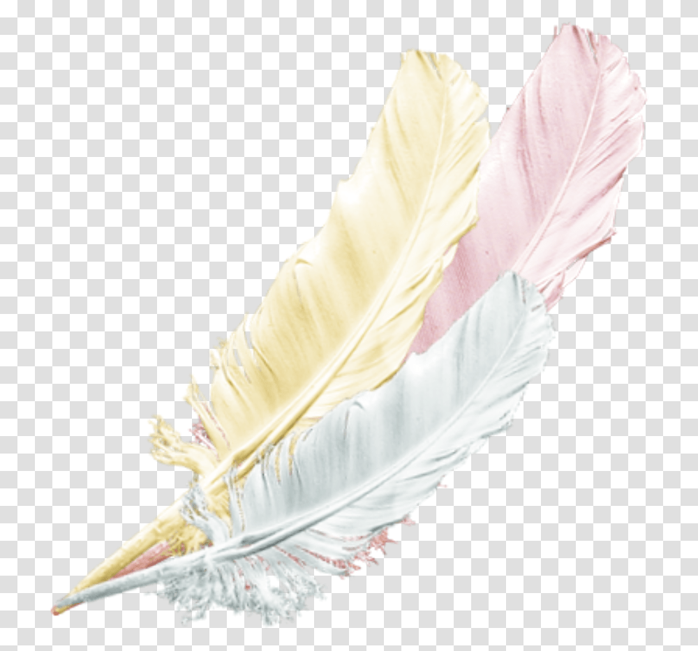 Feather Bird, Bottle, Ink Bottle, Pen, Person Transparent Png