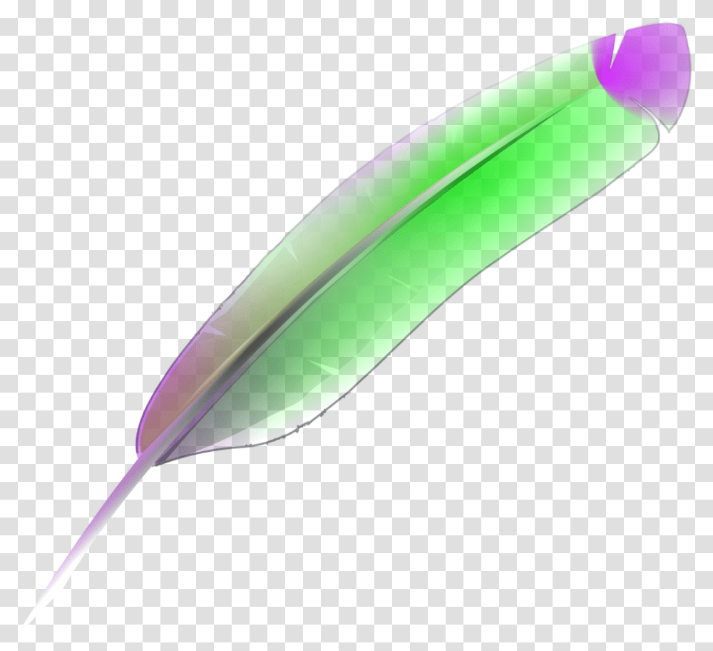 Feather Bird Nib Pen Nib Ink Pen Quill Colorful Bulu Ayam, Bottle, Plant, Baseball Bat, Team Sport Transparent Png