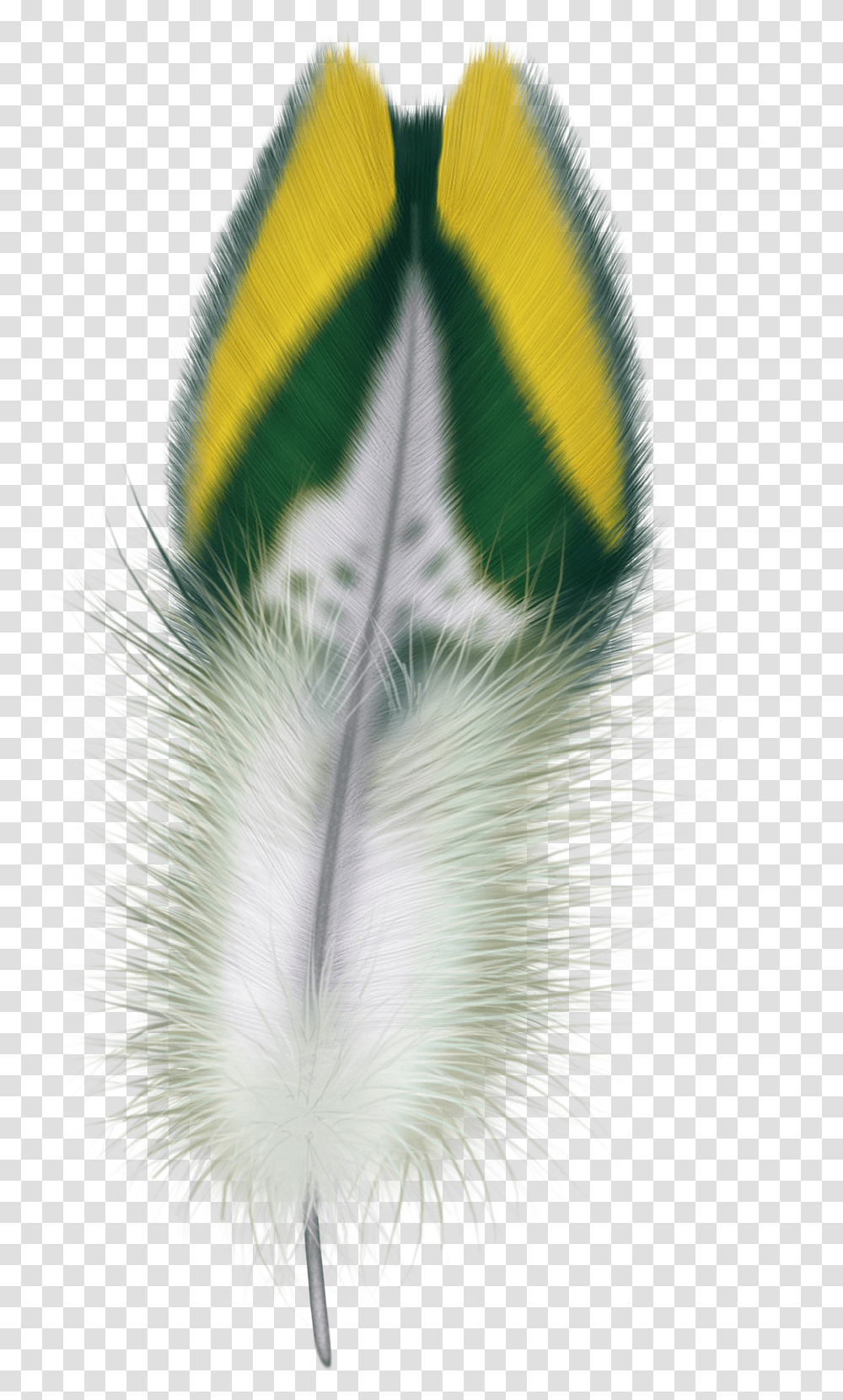 Feather, Bird, Plant, Leaf, Veins Transparent Png