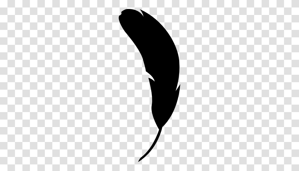 Feather Bird Shape Computer Icons Animal, Silhouette, Plant, Food, Vegetable Transparent Png