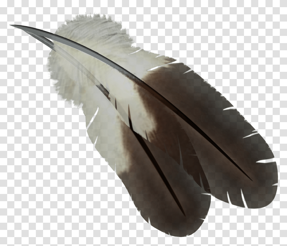 Feather Birds Feather, Animal, Bottle, Ink Bottle Transparent Png