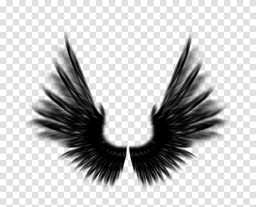 Feather Black Angel Wings Photoshop, Bird, Animal, Silhouette Transparent Png