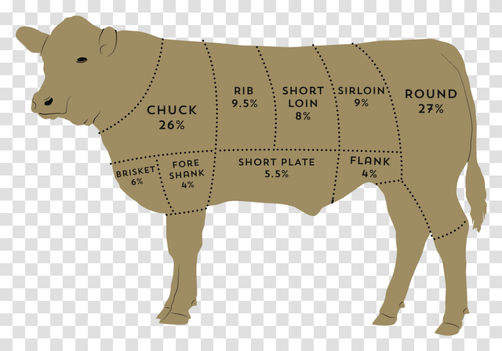 Feather Blade Of Beef, Animal, Mammal, Pig, Wildlife Transparent Png