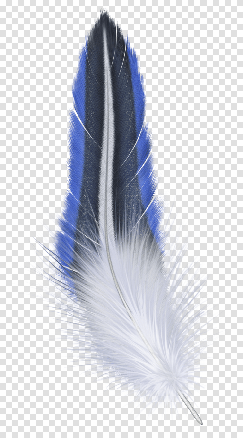 Feather Blue Feather, Pattern, Fractal, Ornament, Bird Transparent Png