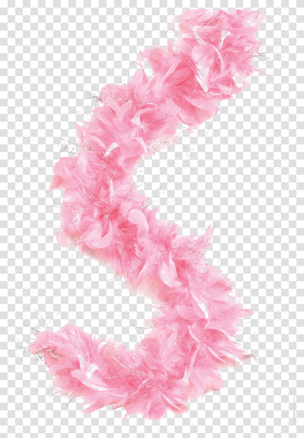 Feather Boa Picture Feather Boa, Apparel, Scarf Transparent Png
