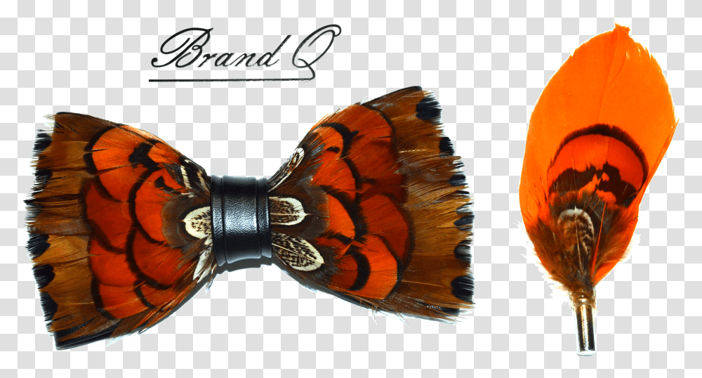 Feather Bow Ties Vanessa Butterfly Transparent Png