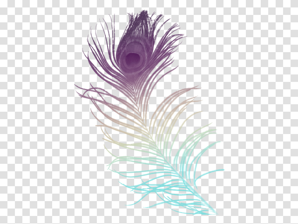 Feather Brushes, Floral Design, Pattern Transparent Png