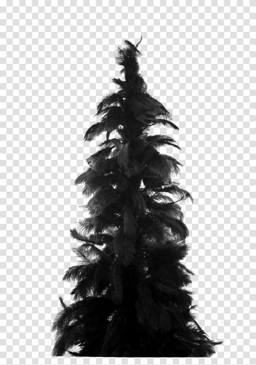 Feather Christmas Tree, Plant, Ornament, Fir, Abies Transparent Png