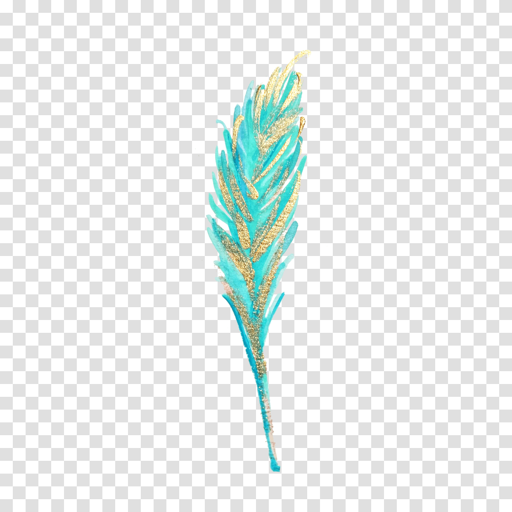 Feather Clip Art, Plant, Grass, Vegetable, Food Transparent Png