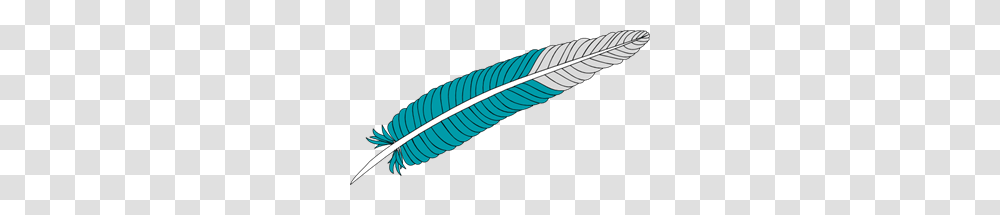 Feather Clip Arts For Web, Leaf, Plant, Veins Transparent Png
