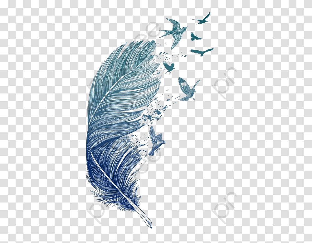 Feather Clipart Bird Birds Flying Off Feather, Sea, Outdoors, Water, Nature Transparent Png