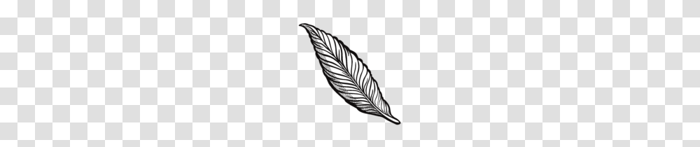 Feather Clipart Feathers Clip Art, Jewelry, Accessories, Accessory, Person Transparent Png