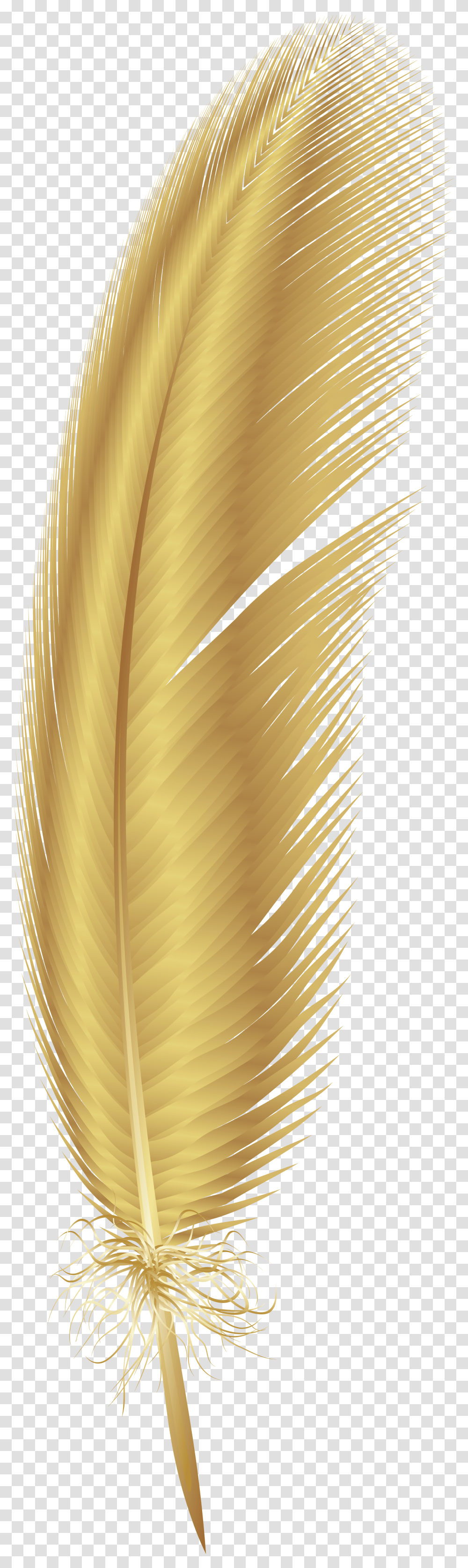 Feather Clipart Gold Feather, Sunlight, Texture, Plant Transparent Png