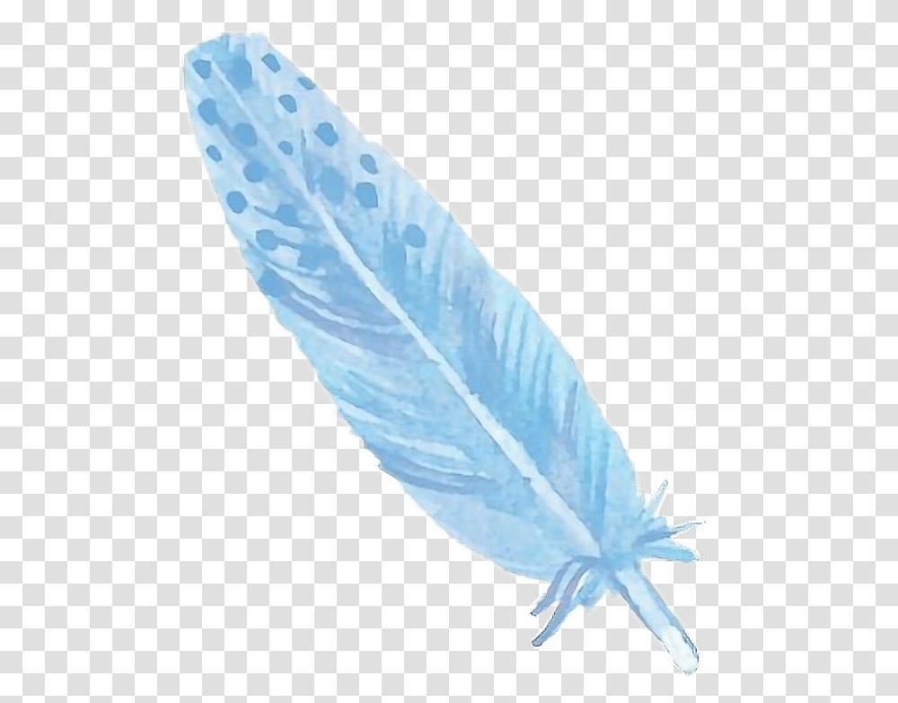 Feather Clipart Watercolor Watercolor Feather, Bottle, Diamond, Gemstone, Jewelry Transparent Png
