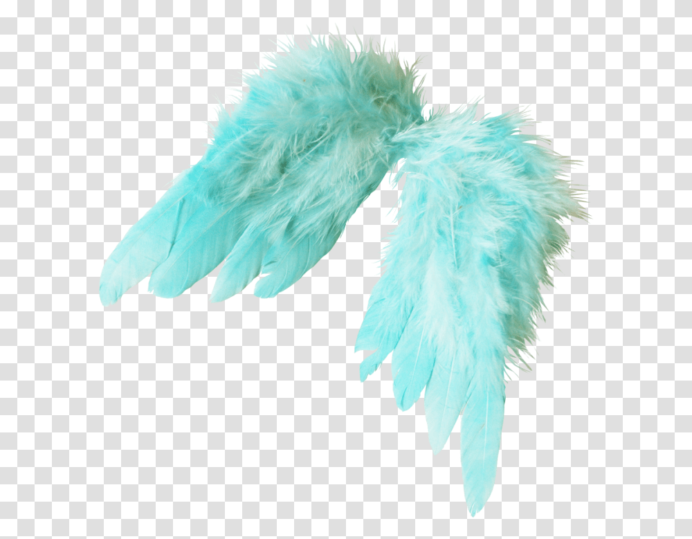 Feather, Apparel, Scarf, Bird Transparent Png