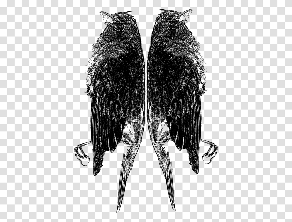 Feather, Overcoat, Suit, Silhouette Transparent Png