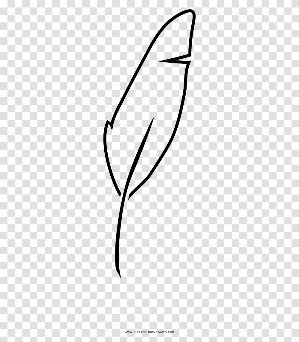 Feather Coloring Page, Gray, World Of Warcraft Transparent Png