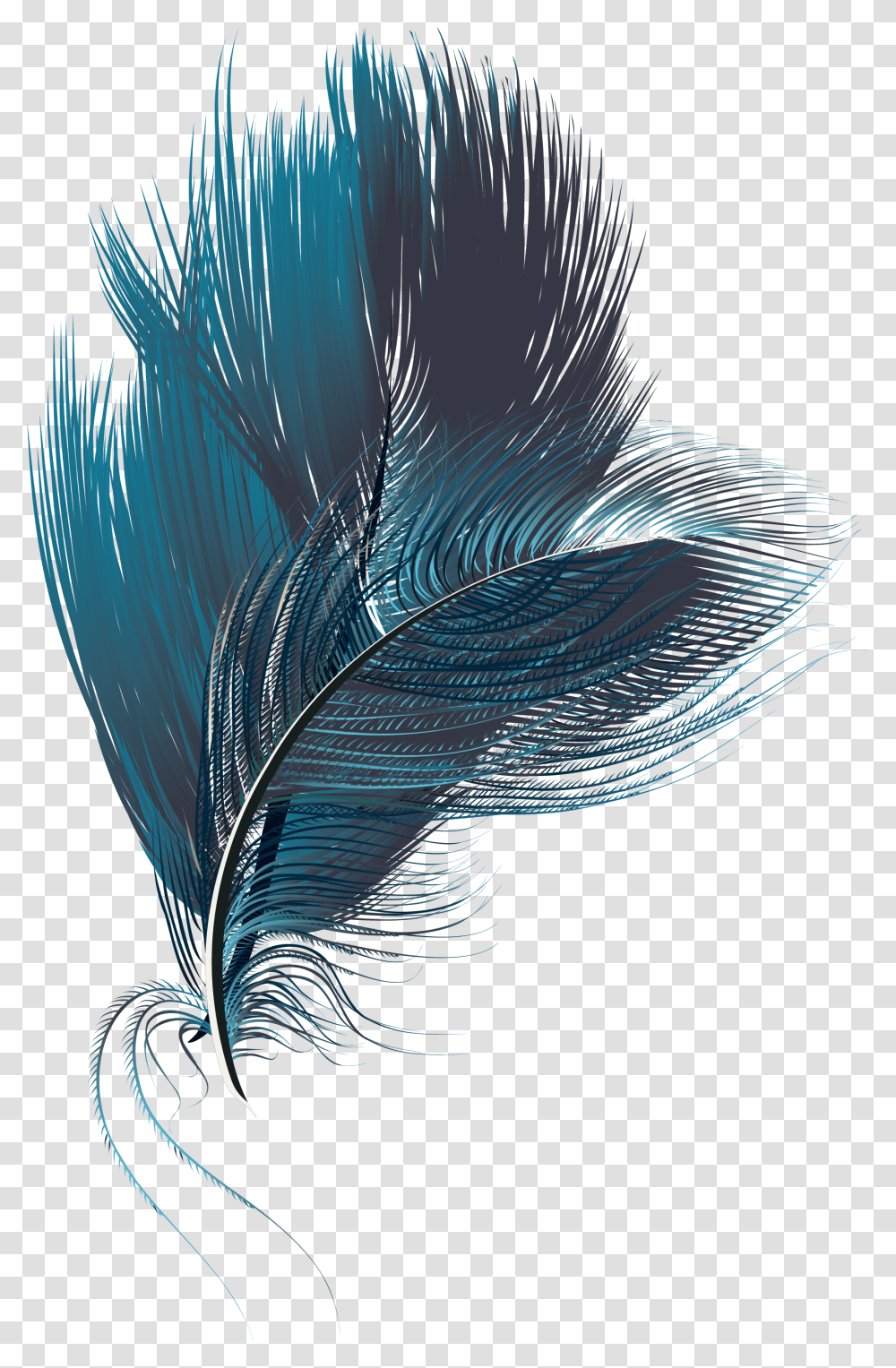 Feather Computer File Illustration, Bird, Nature Transparent Png