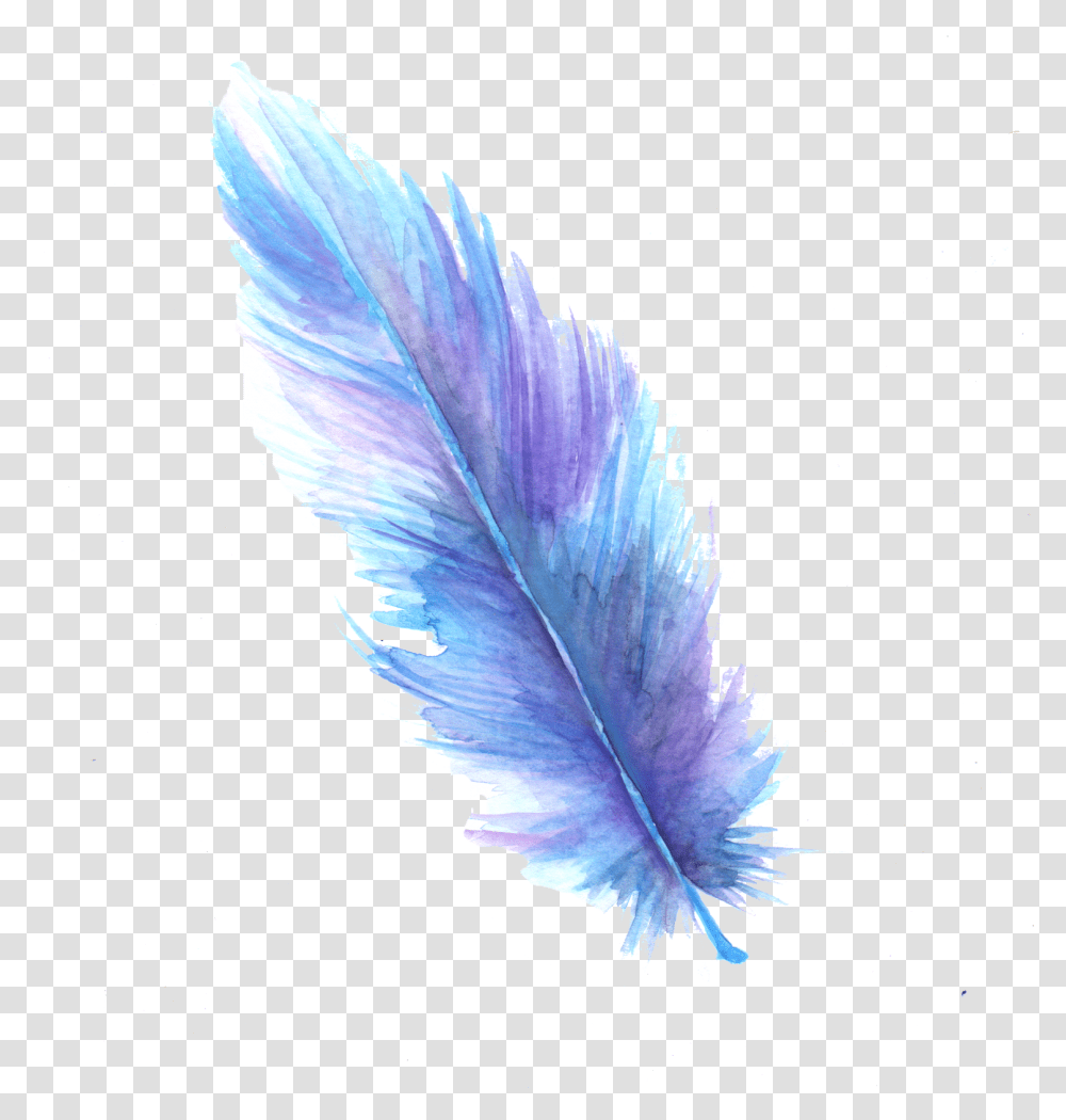 Feather Digital Art Watercolor Painting Clip Art Background Feather, Leaf, Plant, Bird, Animal Transparent Png