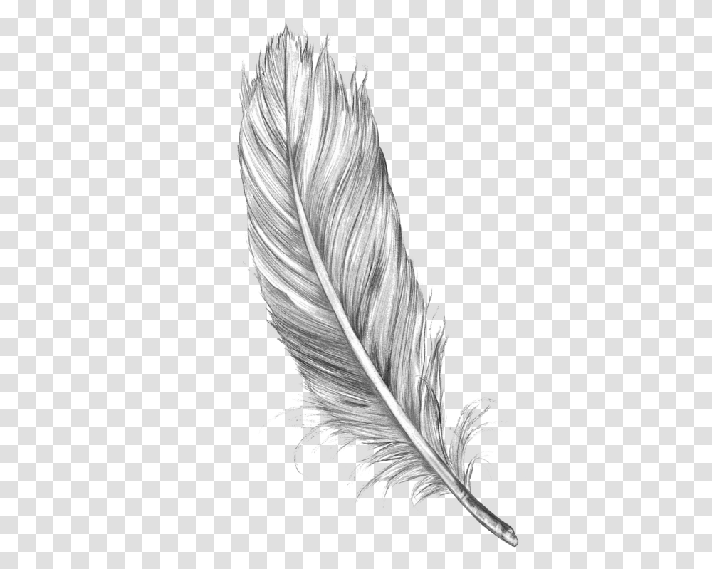 Feather Drawing, Bird, Animal, Leaf Transparent Png