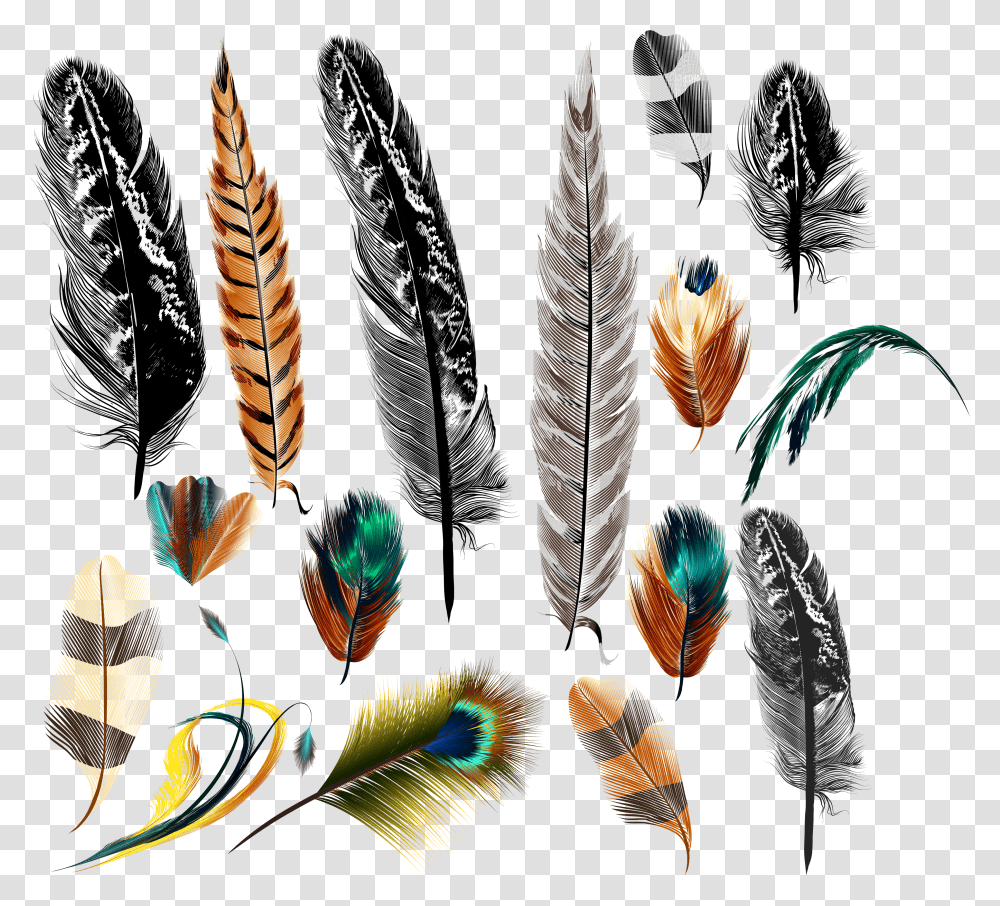 Feather Drawing Big And Small Feather Decor Graphic Print Realistic Bird Feather Drawing Transparent Png
