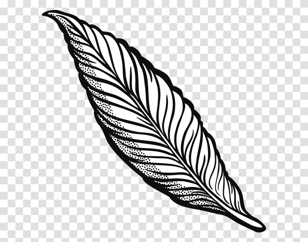 Feather Drawing Line Art Quill Cartoon Feather Clip Art, Leaf, Plant, Zebra, Wildlife Transparent Png