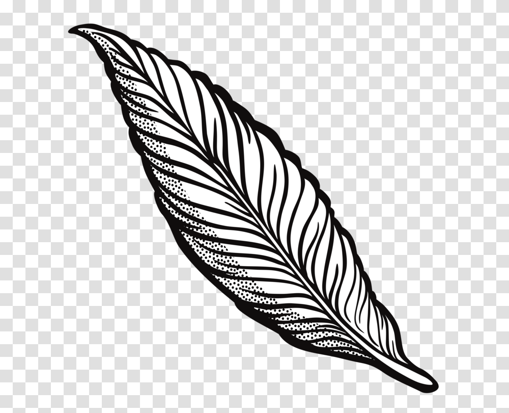Feather Drawing Line Art Quill Cartoon, Leaf, Plant, Zebra, Wildlife Transparent Png