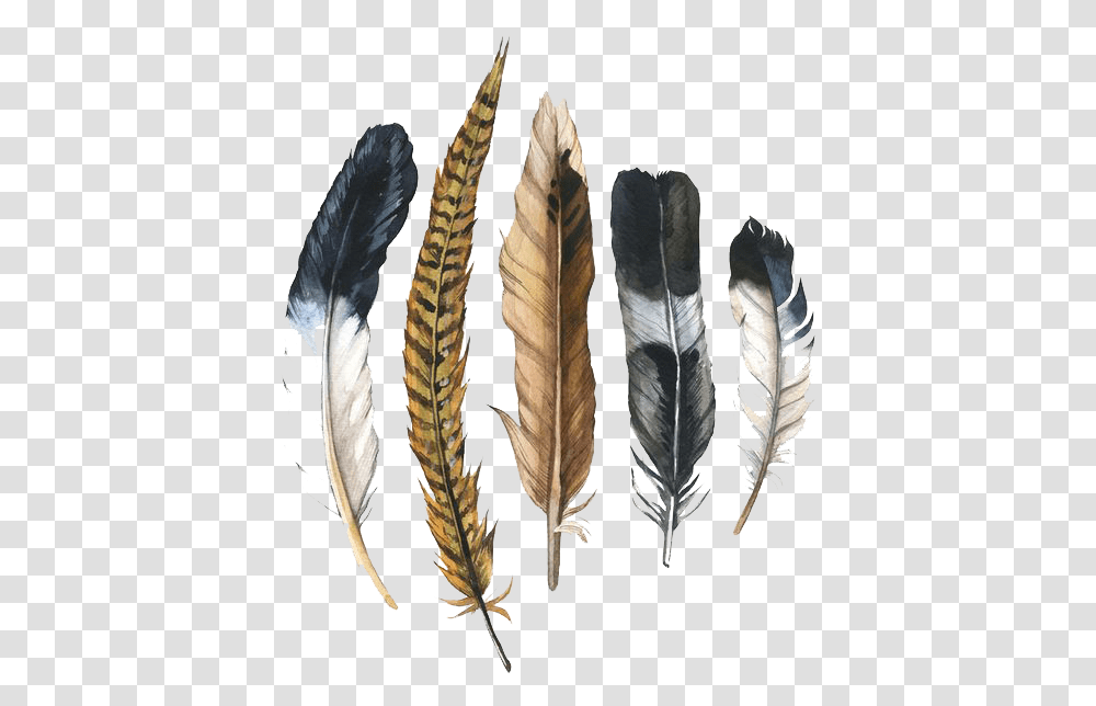 Feather Drawing Pheasant Feather Clip Art, Leaf, Plant, Grass, Bronze Transparent Png