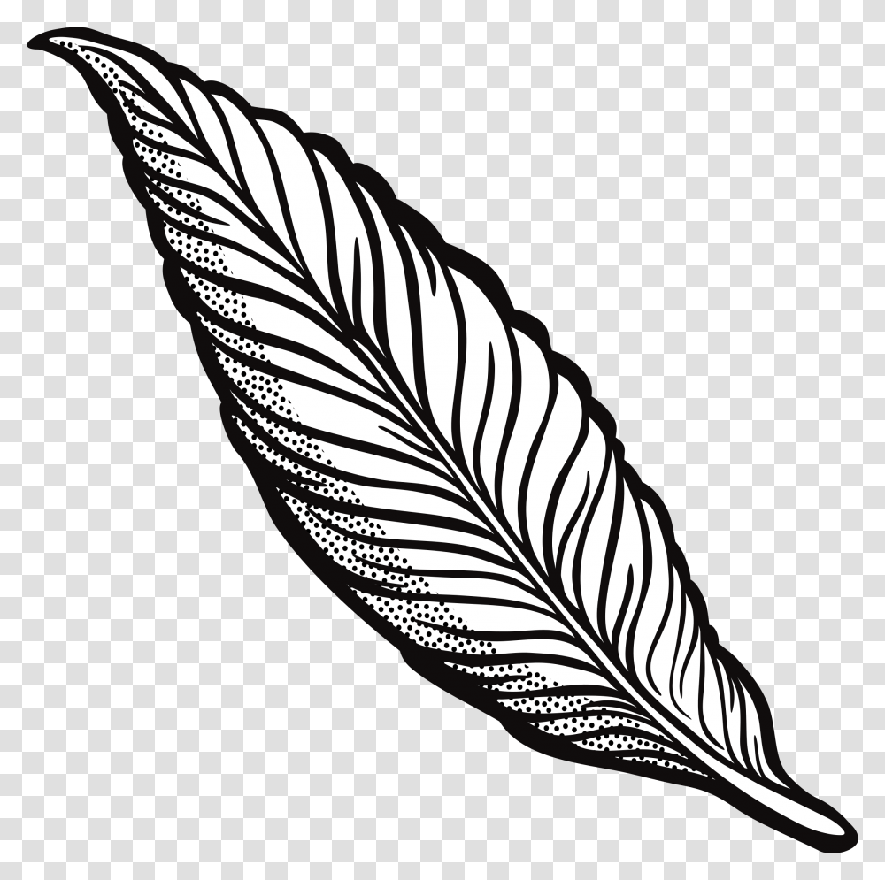 Feather Drawing & Clipart Free Download Ywd Feather Clipart Black And White, Leaf, Plant, Banana, Fruit Transparent Png