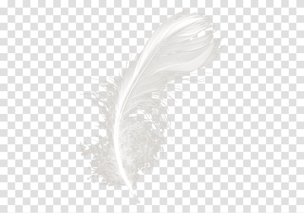 Feather Duster Night, Bird, Animal, Face, Bottle Transparent Png