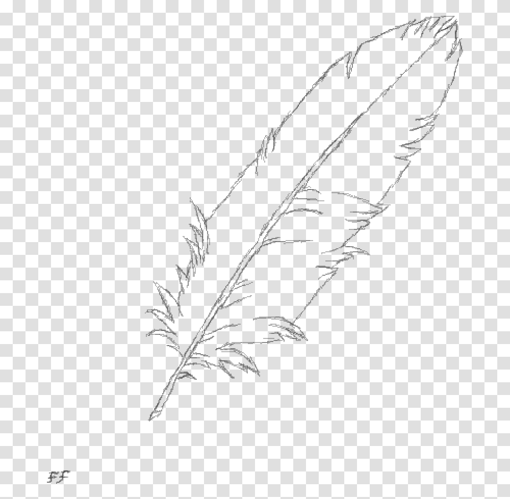 Feather Duster Sketch, Gray, World Of Warcraft Transparent Png