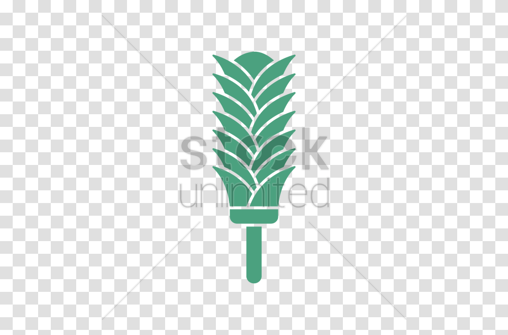 Feather Duster Vector Image, Plant, Broom, Food, Vegetable Transparent Png