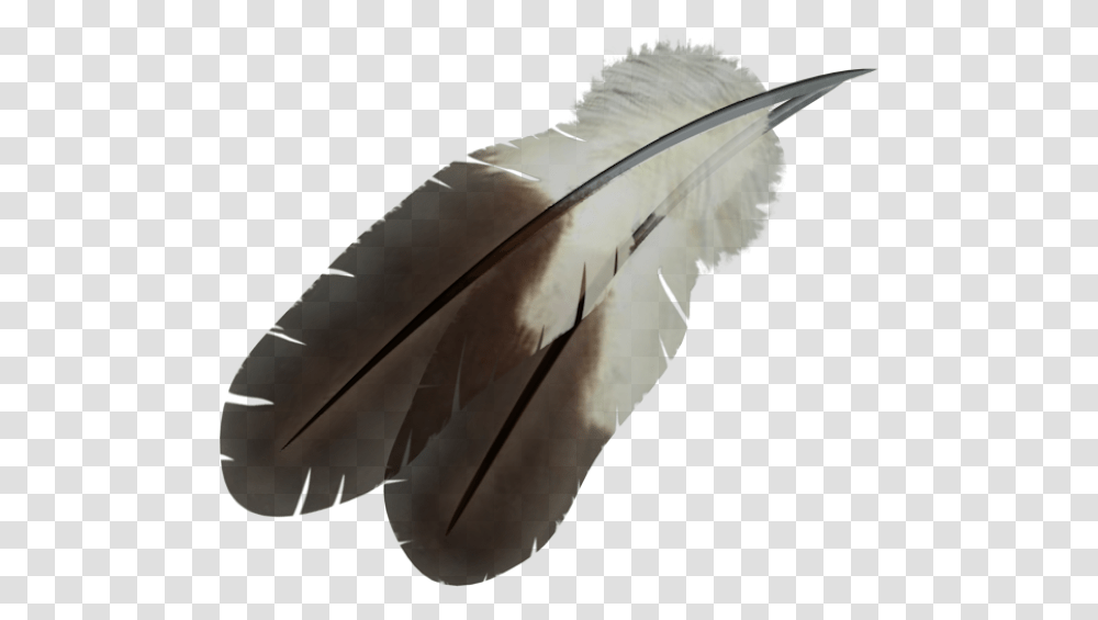 Feather Eagle Feather, Bottle, Bird, Animal, Ink Bottle Transparent Png