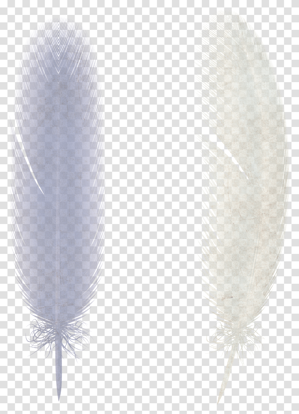 Feather Earrings Transparent Png