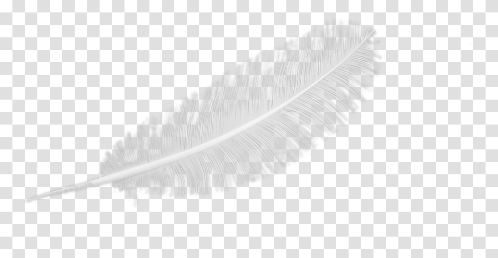 Feather Eyelash Extensions, Leaf, Plant, Ink Bottle, Brush Transparent Png