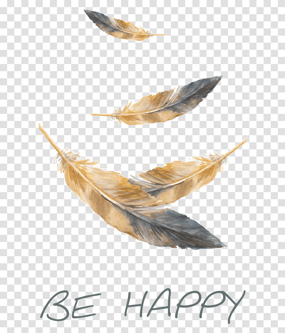 Feather Falling Paper, Leaf, Plant, Bird, Animal Transparent Png
