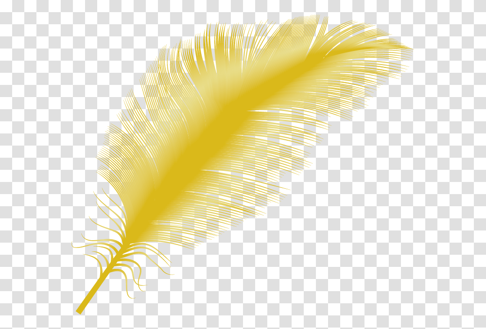 Feather Falling Yellow Feather, Leaf, Plant Transparent Png