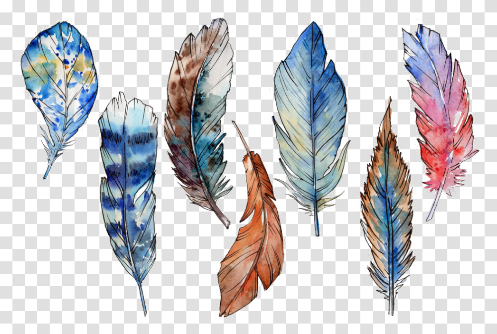 Feather Feathers Boho Bohostyle Bohofeathers Watercolor, Pattern, Ornament, Floral Design Transparent Png