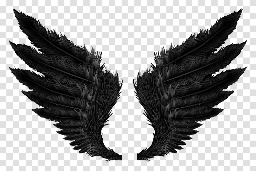 Feather Feathers Featherwings Blackwongs Wings Wings, Bird, Animal, Emblem Transparent Png