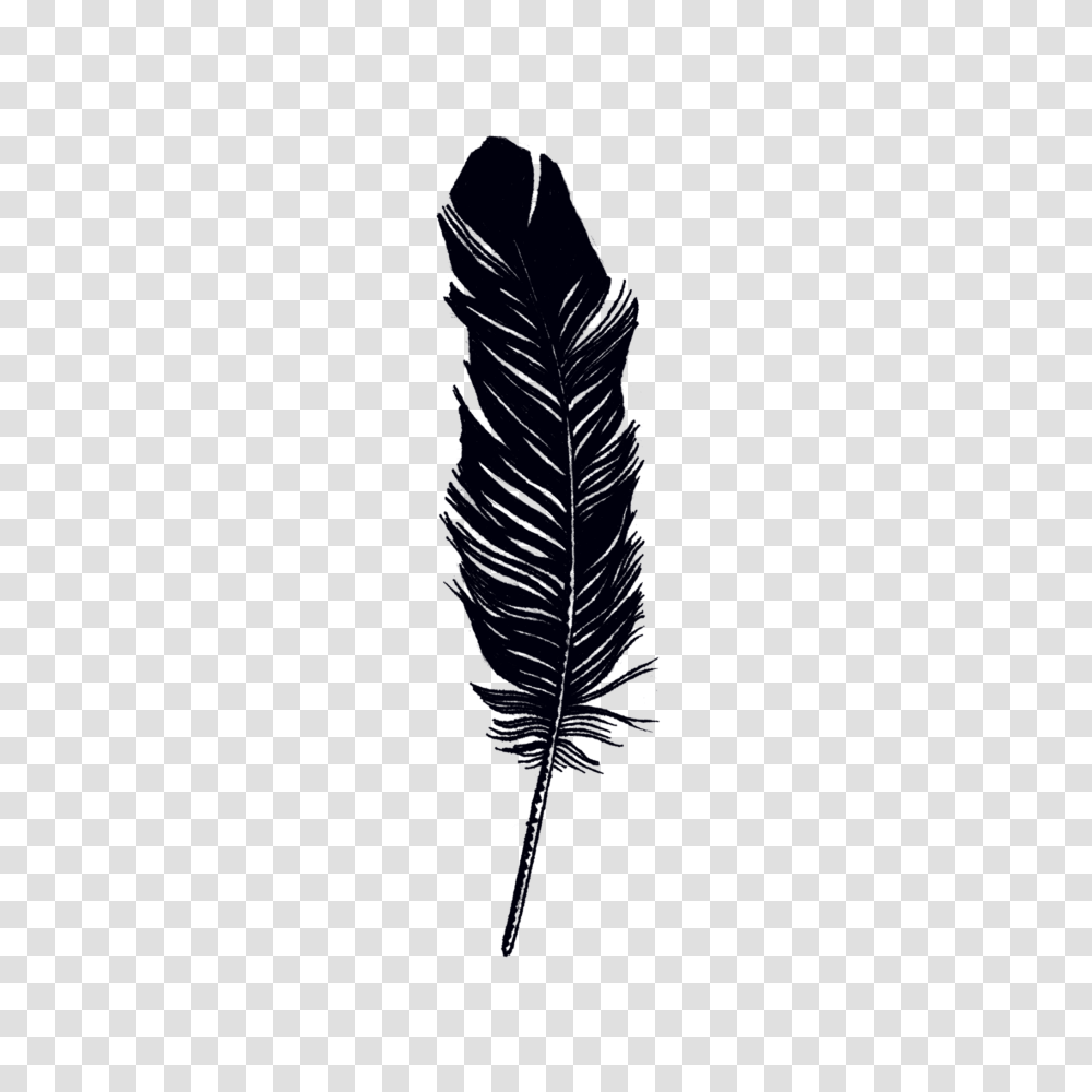 Feather, Flare, Light, Flower, Plant Transparent Png