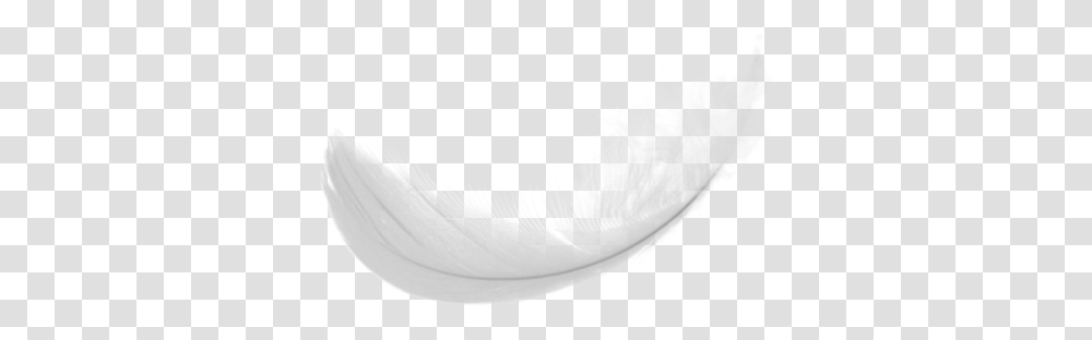 Feather, Flower, Plant, Sock Transparent Png