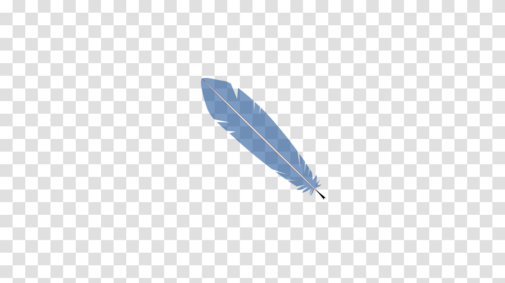 Feather Free Clipart, Sea, Outdoors, Water, Nature Transparent Png