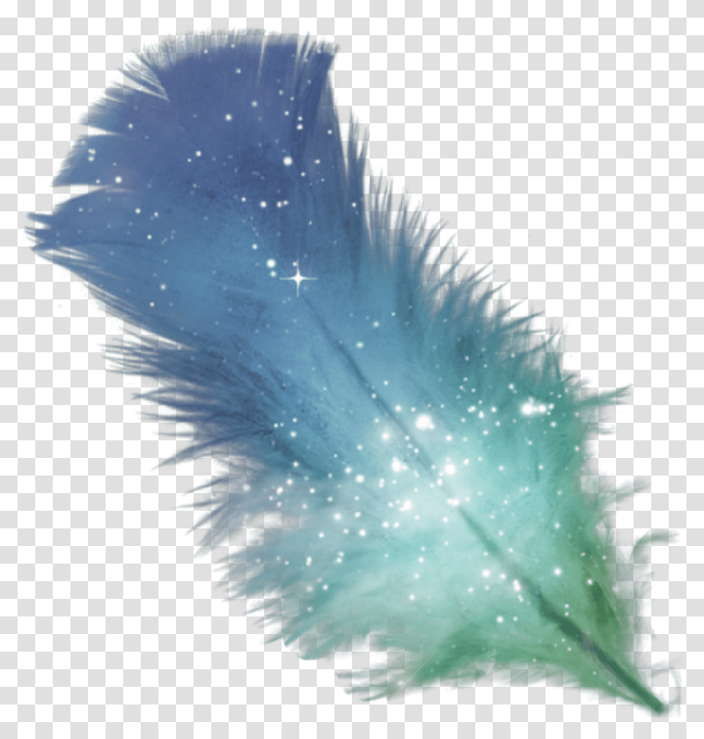 Feather Glitter Colormix Purple Feather, Light, Crystal, Animal Transparent Png