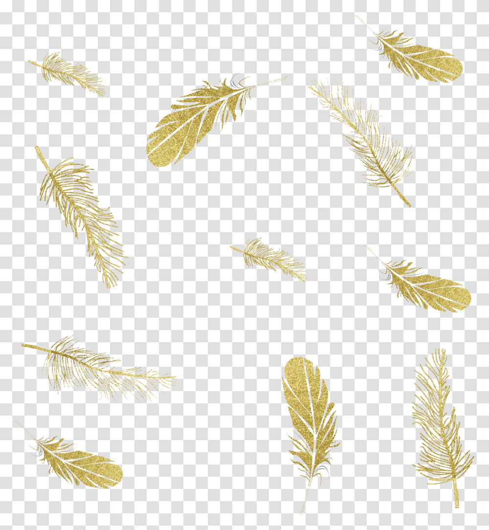 Feather Graphics Ink Portable Network File Hd Clipart Falling Feathers Gold, Leaf, Plant, Tree, Grass Transparent Png