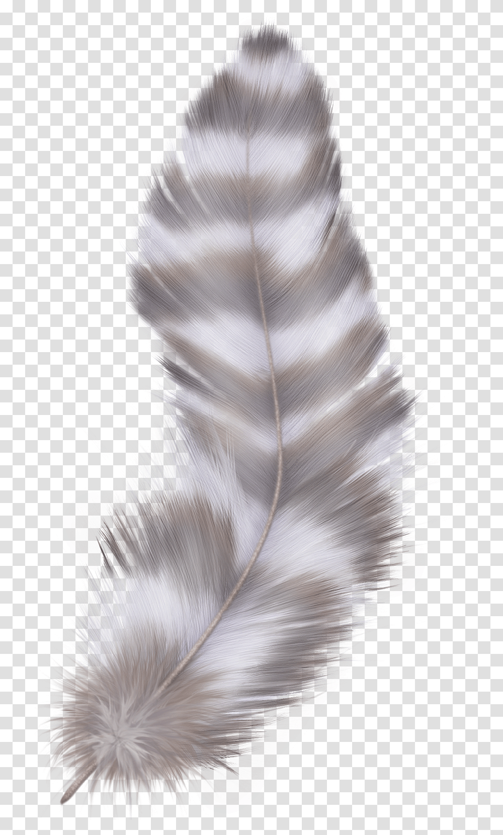 Feather Grey Feather With Background, Apparel, Crystal, Bird Transparent Png