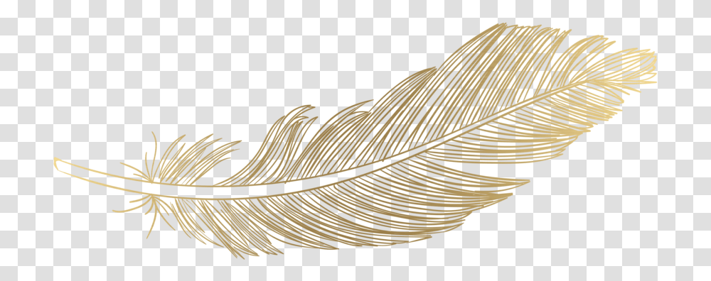 Feather Hd Wood, Leaf, Plant, Bird, Animal Transparent Png