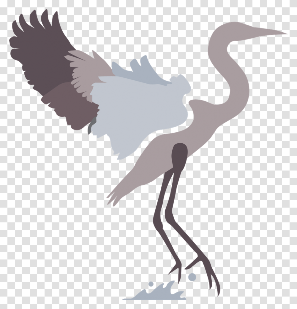 Feather Icon Crane Like Bird, Animal, Stork, Crane Bird, Waterfowl Transparent Png