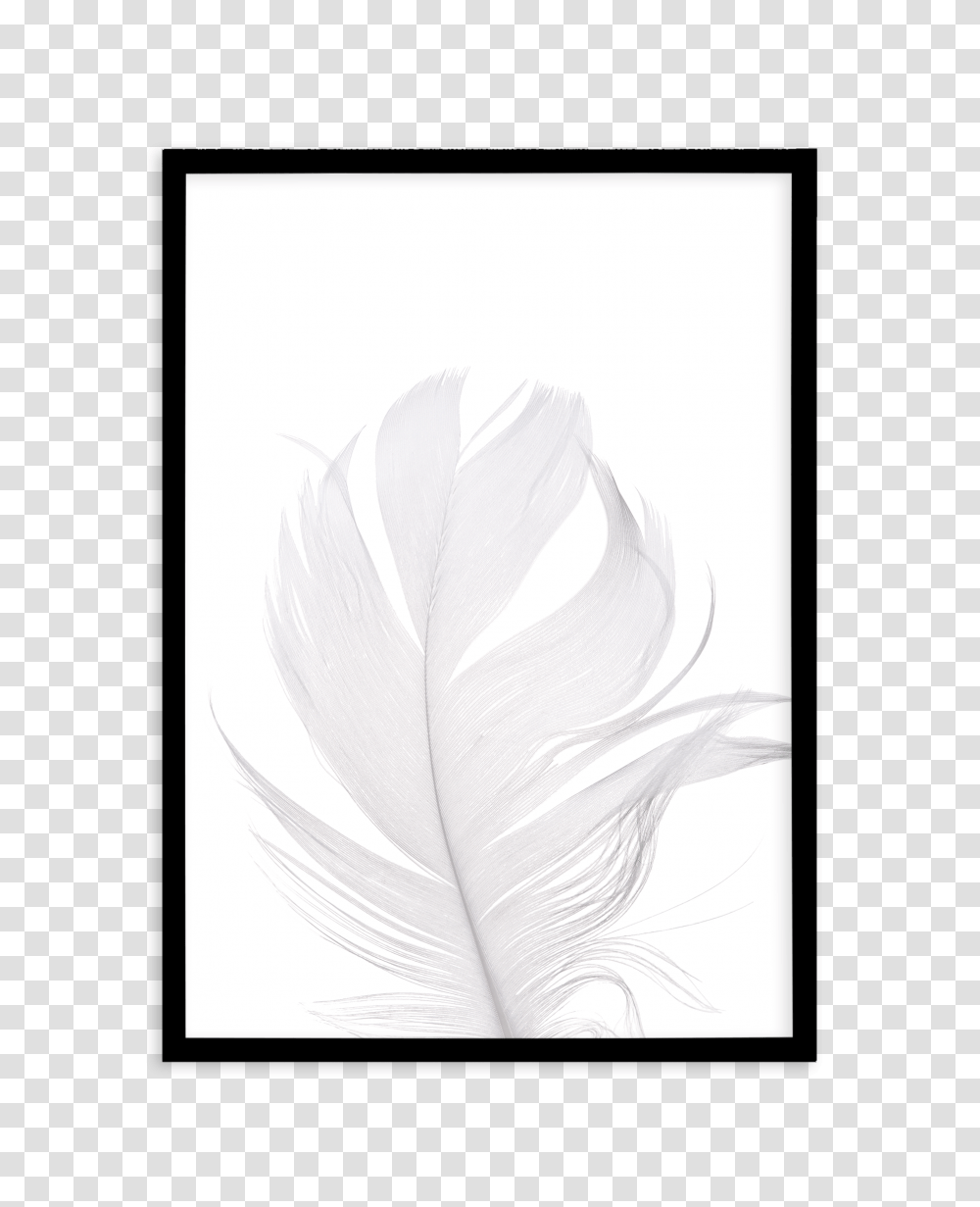 Feather Ii White Art Print Or Poster, Drawing, Sketch, Rug, Painting Transparent Png