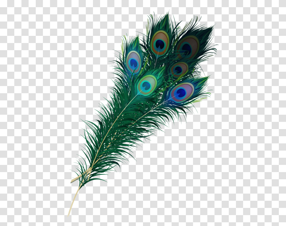 Feather Images Peacock Feather Clipart, Bird, Animal, Pattern, Green Transparent Png